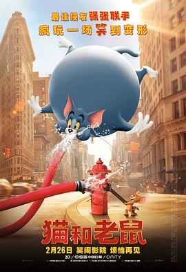 完结高清影视