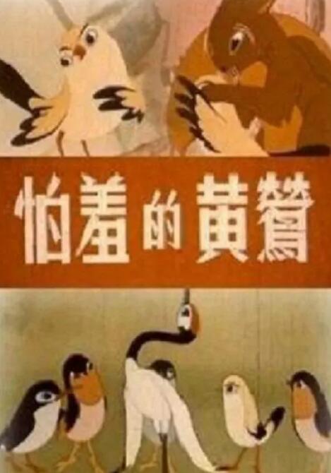 BD高清免费观看