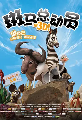 全集免费观看超清