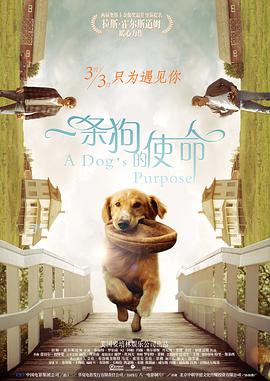 BD高清免费观看